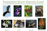 Donate $25 and receive Endangered Species Greeting Cards